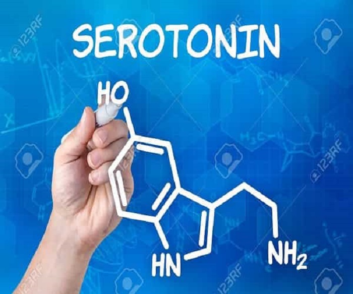 Chất dẫn truyền thần kinh serotonin