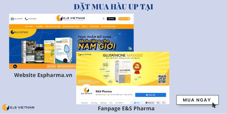 Đặt hàng tại Website và Fanpage chính thức của E&S Việt Nam để mua được hàng chính hãng
