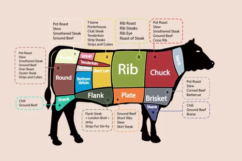 Thịt bò chứa đa dạng dinh dưỡng ở các phần thịt khác nhau